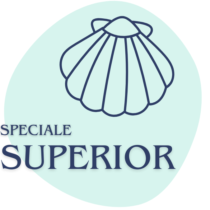 Icona vacanza superior