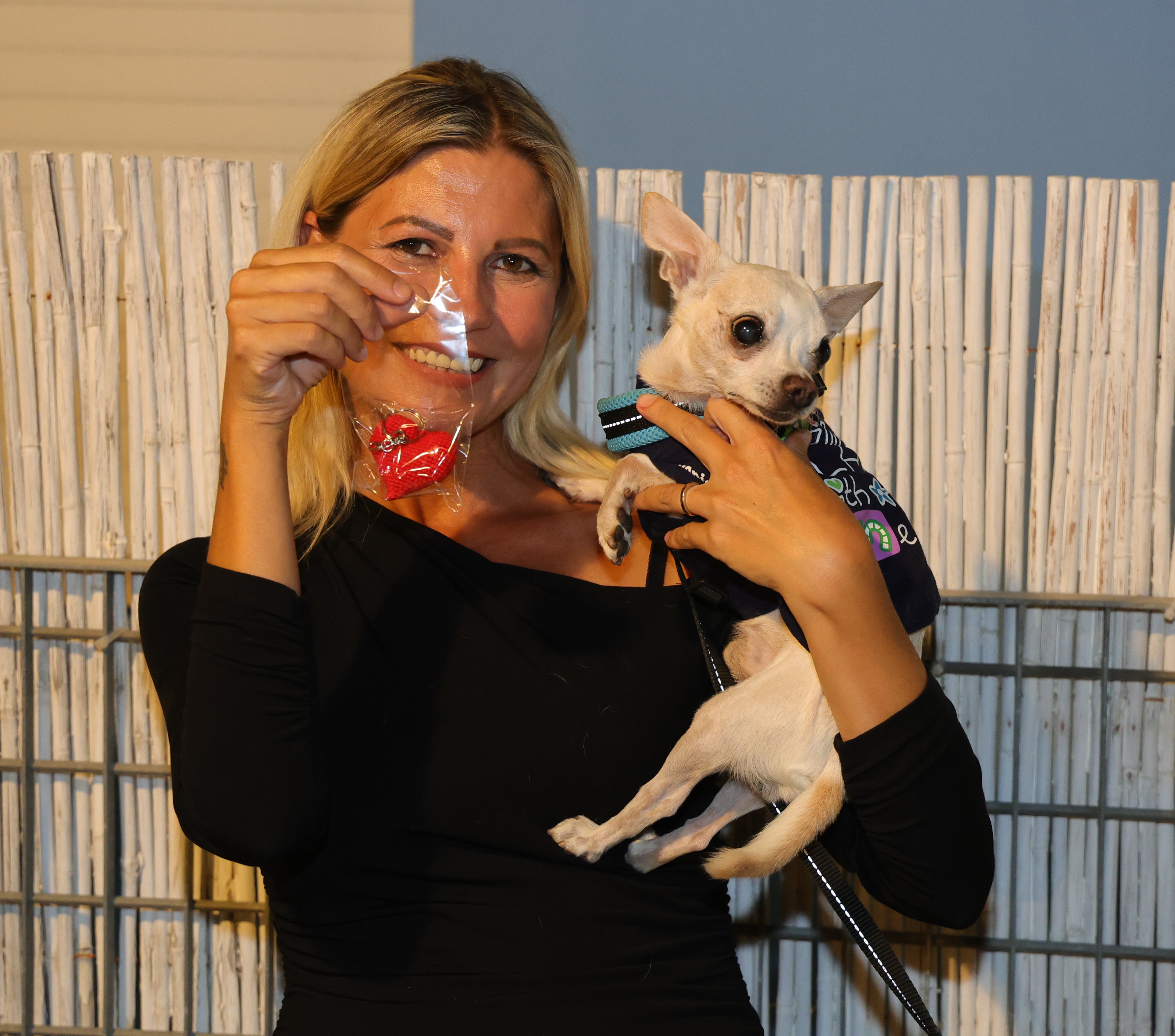 Vieni al Mare col tuo Cane